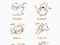 如何正确科学的撸猫
