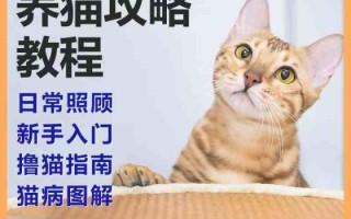 猫咪挑食怎么办，怎么找到猫咪喜欢吃的东西
