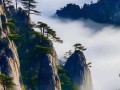 动态风景构图技巧和方法