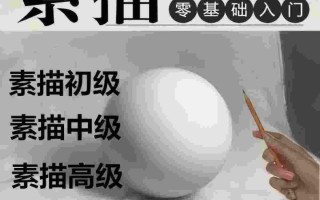 从线条到立体：30天零基础素描速成攻略