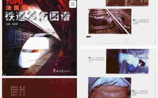 法医学铁道损伤图谱：解码铁路伤亡的「时空密码」