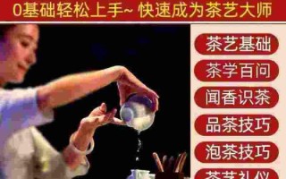 从零开始学茶艺：5个实用技巧让新手快速泡出专业级茶汤