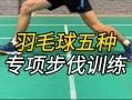 羽毛球步法训练全解：让对手追不到你的落点