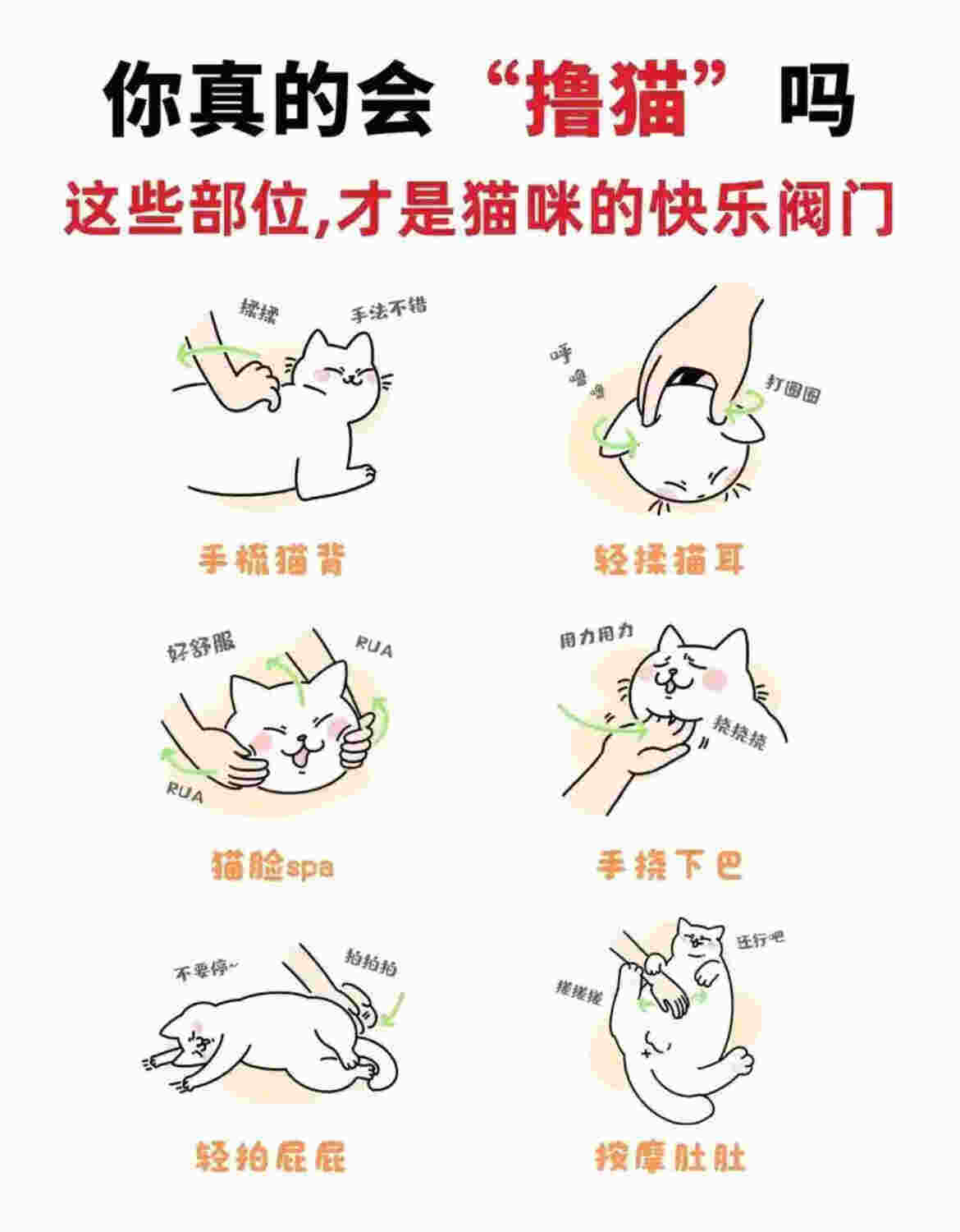 如何正确科学的撸猫-第1张图片-dewu博客