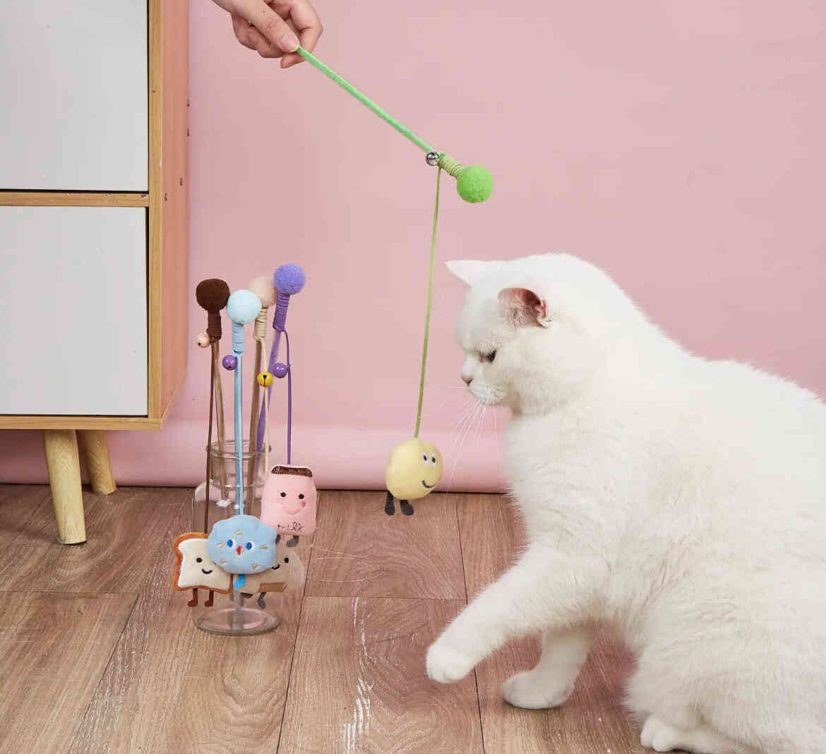 猫咪玩具大揭秘：趣味偏好测试指南，找到你家喵主子的心头好！-第1张图片-dewu博客