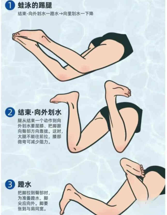 蛙泳游不远还累？避开这5个动作误区，轻松提速50%-第2张图片-dewu博客